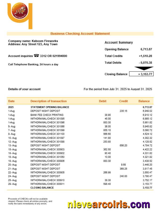 Druk PNB bank firm account statement
